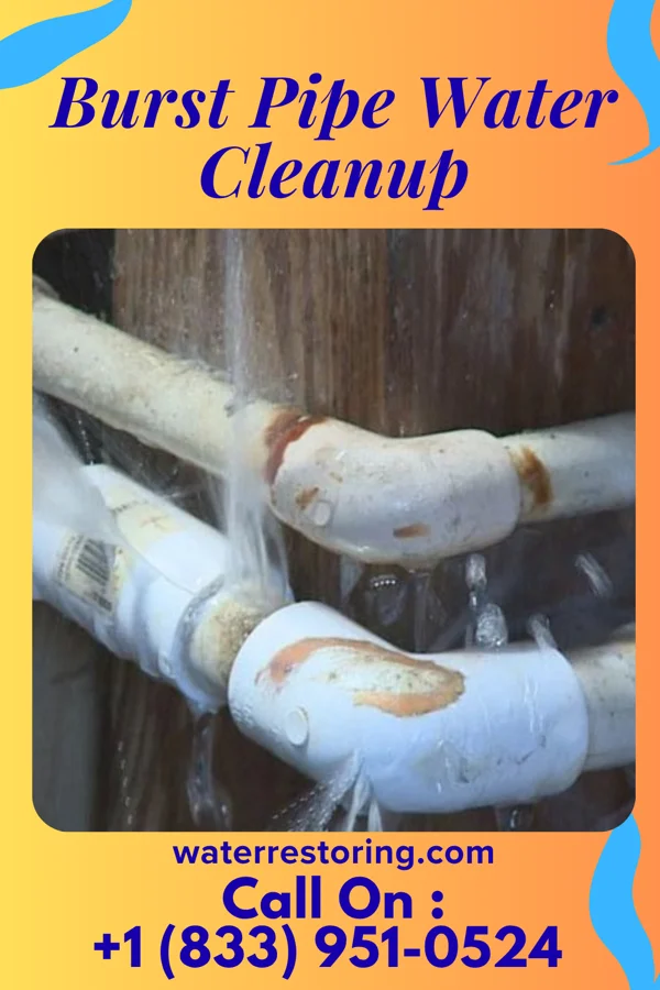 Burst Pipe Water Cleanup in Trenton, IA