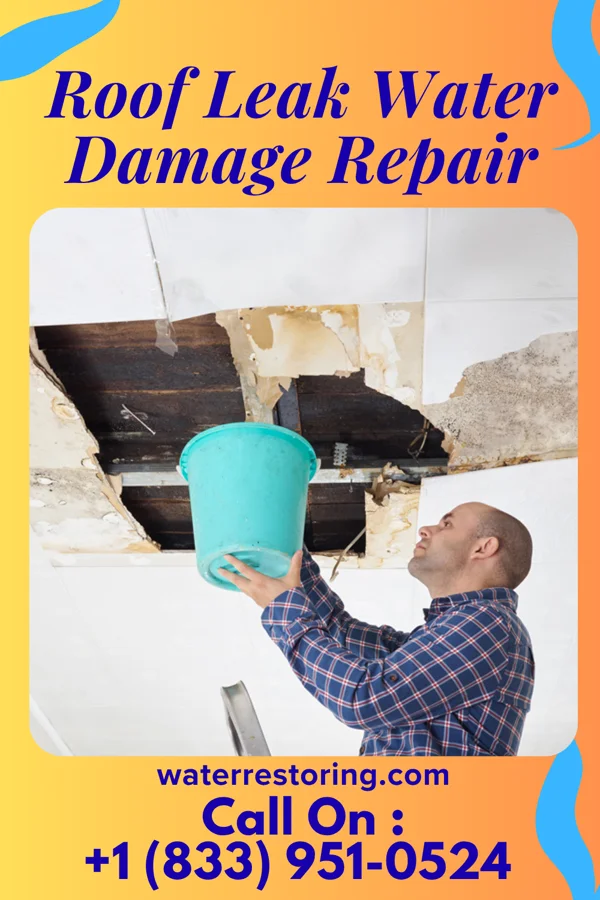 Roof Leak Water Damage Repair in Trenton, IA