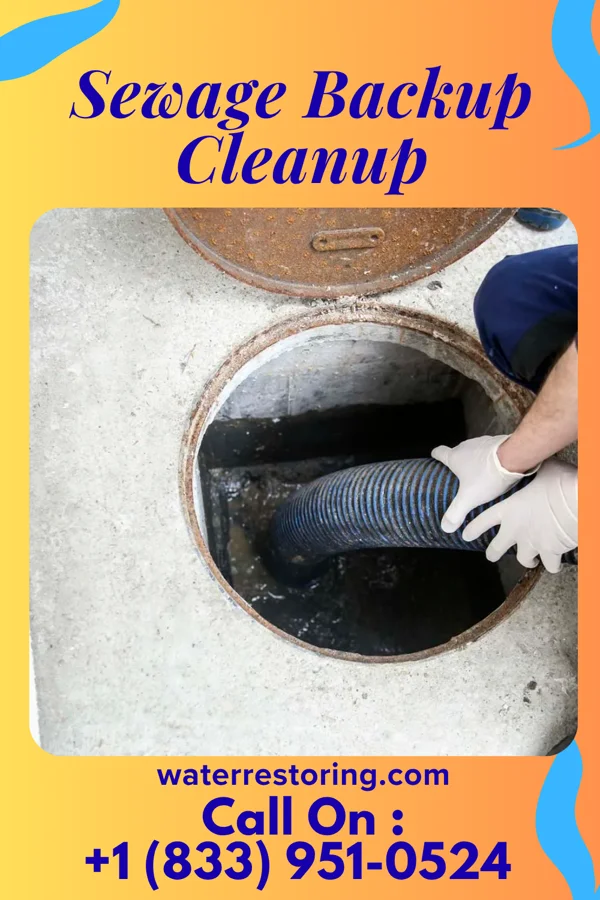 Sewage Backup Cleanup in Trenton, IA